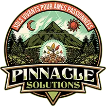 Logo Pinnacle solution
